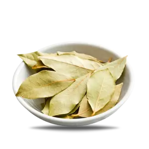 Bay Leaf