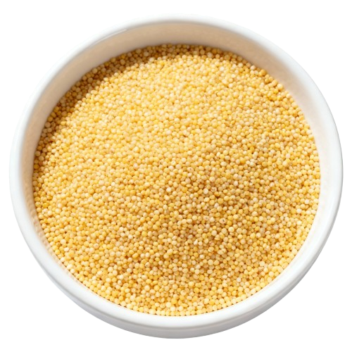 Proso Millet