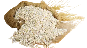 Barley Rice